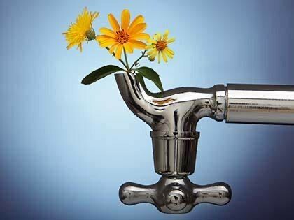 Spring Plumbing Maintenance: Get Your Home Ready for the Season